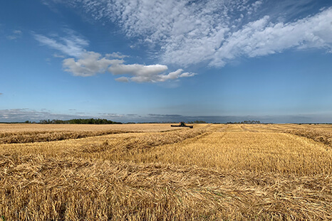Farm