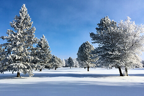 Snow