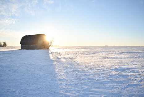 Winter