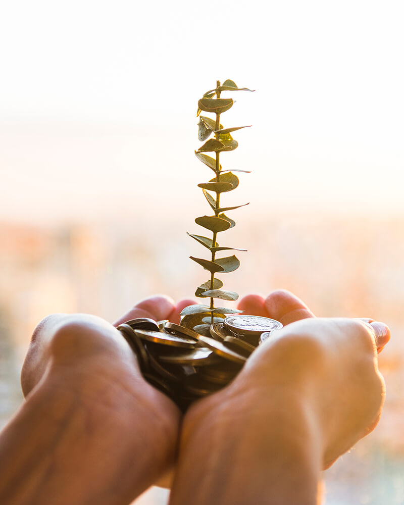 Meet with an Advisor via Teams