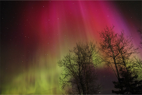 February Sandra Trohak The Skies Are Alive!