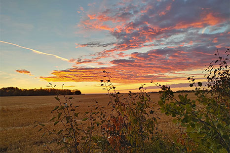 September Ashley Trach September Sunrise
