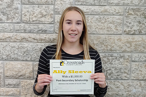 Ally Sleeva
